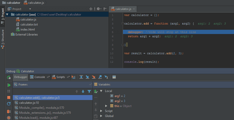 Web Storm Debugger View